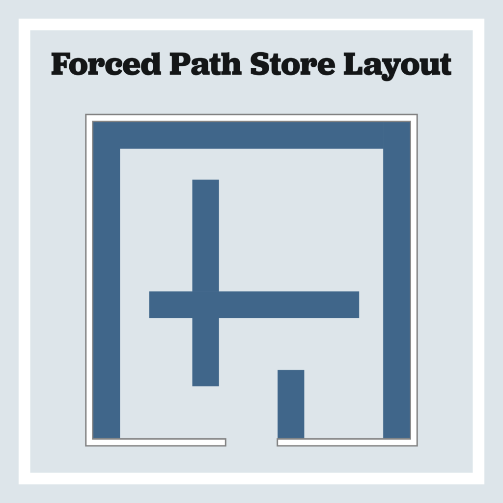 a graphic representation of the forced path layout